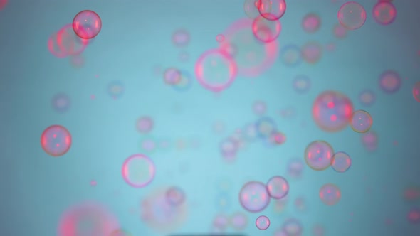 Beautiful Colorful Soap Bubbles Illuminated By Pink Light Fly Indoors on a Blue Background