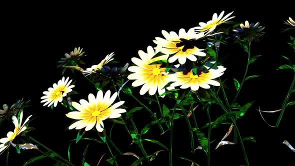 White Flower Botanical 3D Rendering
