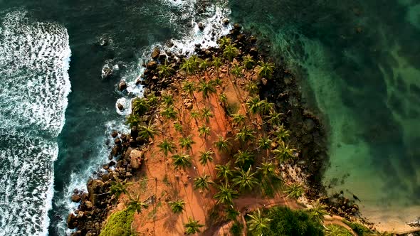 Aerial of Coconut Tree Hill, isolated palm trees. Mirissa, Sri Lanka