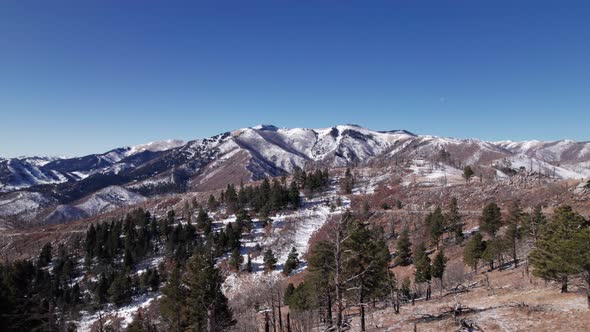 Drone shot flying over trees with a road and large mountain range