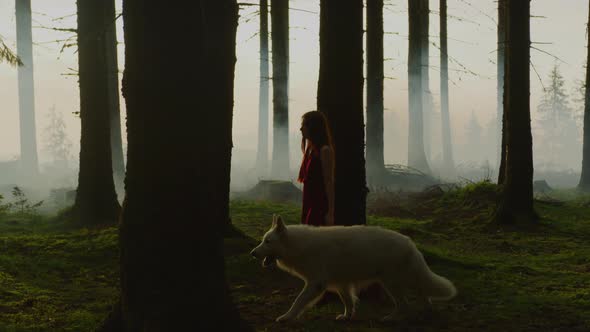 Girl walking in the forest with a dog