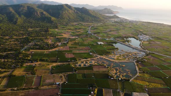 Majestic green vibrant agriculture field on Vietnam coastline and mountain range in horizon. Aerial