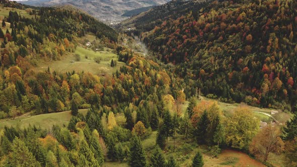 Mountain Ranges with Pine Leafy Forest Aerial