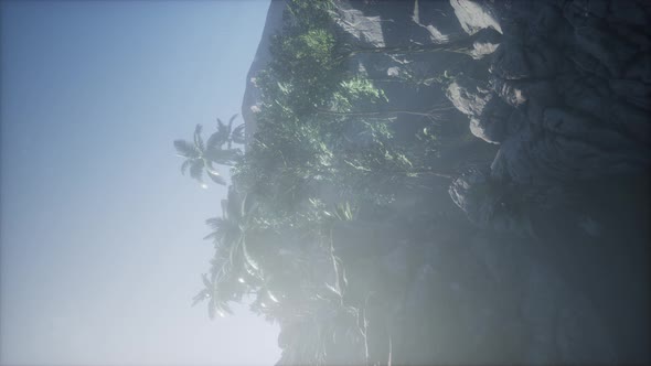 Sunset Beams Through Palm Trees alt