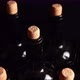 Wine Bottles Dolly Shot - VideoHive Item for Sale