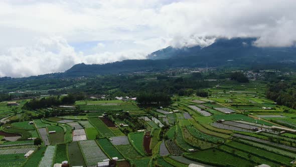 Picturesque rice fields in Central Java by Mount Telomoyo Indonesia. Aerial view