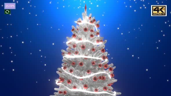Christmas Tree Animation A1 4K