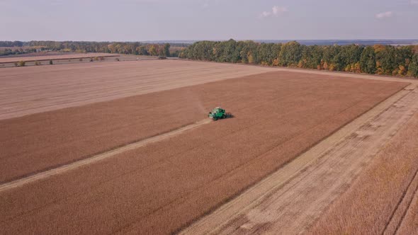 Green Autonomous Combine Harvests Yellow