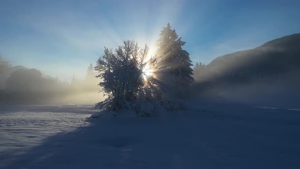 Beautiful winter morning with fresh snow and fog