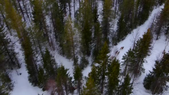 Aerial view of husky dogs pulling sled over frozen lake in Overtornea, Sweden.