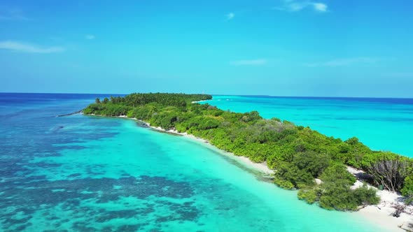 Aerial travel of paradise coast beach wildlife by transparent ocean and white sandy background of ad