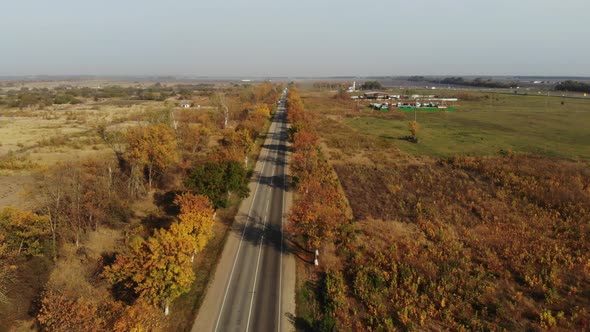 Aerial view of the asphalted road in autumn. Span over the road.