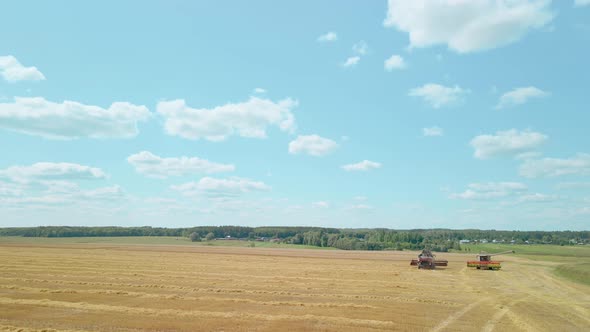 Combine Harvesters in the Field in Sunny Weather