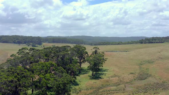 Australian Outback Farmland Aerial Flyover in the Summer