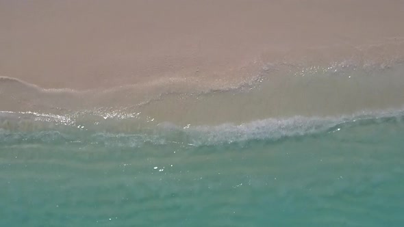 Aerial drone landscape of exotic coast beach wildlife by ocean with sand background