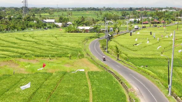 Aerial clip of narrow winding road with vehicles moving along beside rice fields in Canggu Bali