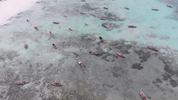 Lot Fishing Boats Stuck in Sand Off Coast at Low Tide Zanzibar Aerial View