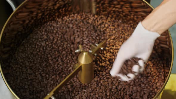 Man's Hands Holding Freshly Roast Aromatic Coffee Beans 