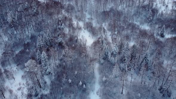 Winter Landscape Aerial view