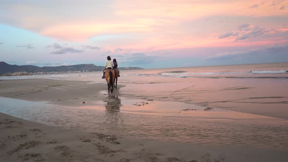 Couple with beautiful brown horses on the beach walking along the sand by the sea, a beautiful scare