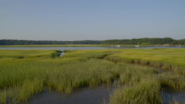 Flying Over Green Grass Reeds and Towards Bay in Long Island