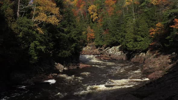 rapids in fall colored forest cinematic beauty low angle