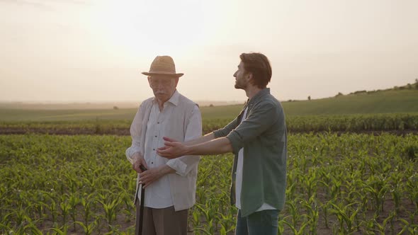 Two Farmers Talk About Their Crops on a Field