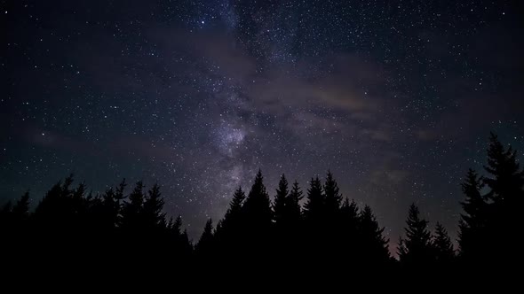 The Movement of the Stars in the Night Sky