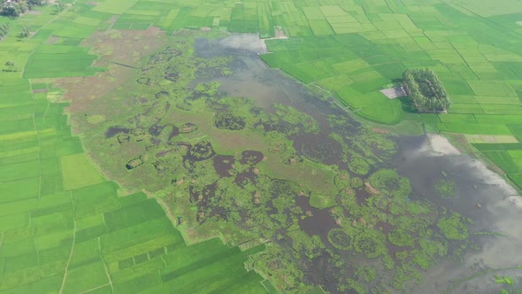 Aerial view of a flooded area with lagoon in Chatmohar, Bangladesh.
