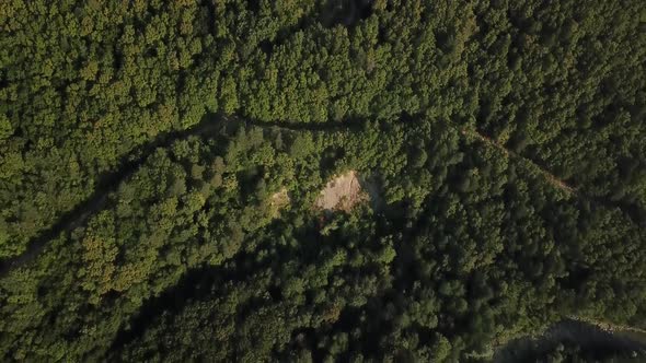 Aerial Top View of Caucasian Mountain Forest, Texture of Forest View From Above.