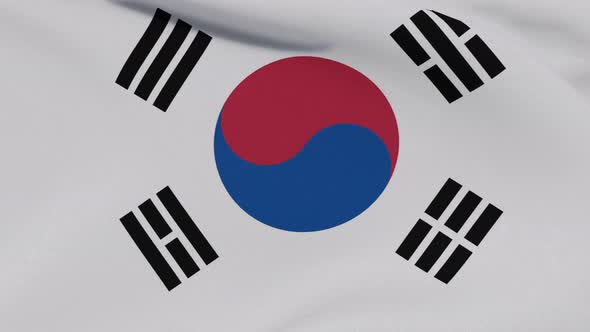 Flag The Republic of Korea Patriotism National Freedom Seamless Loop