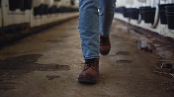 Livestock Manager Legs Walking Shed Alone Closeup