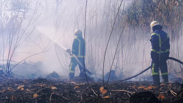 Two Firefighters in Equipment Extinguish Forest Fire with Fire Hose. Slow Motion