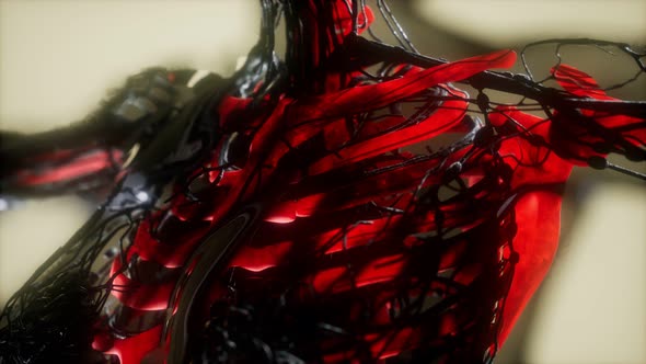 Human Skeleton Bones Scan Glowing alt