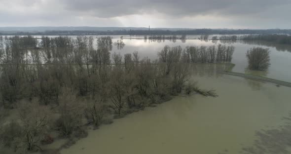 Aerial view of forest in high water in the river Waal, Gelderland, Netherlands.