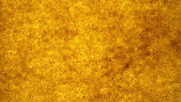 Bright Background of Sand