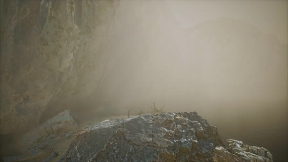 Rocky Cliff with Sand Beach in Deep Fog