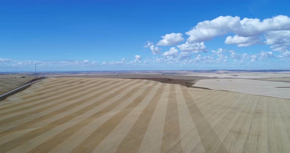 Aerial View of Field