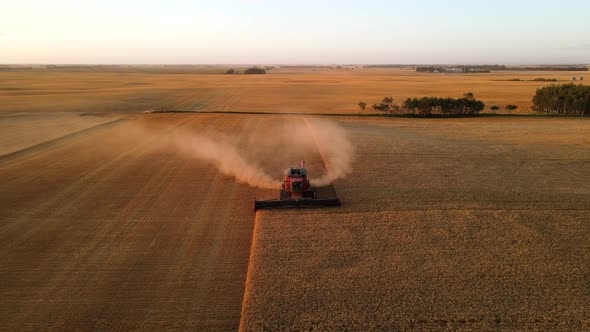 Aerial frontal view of a modern harvester-combine picking the stems, blades threshing gold barley at