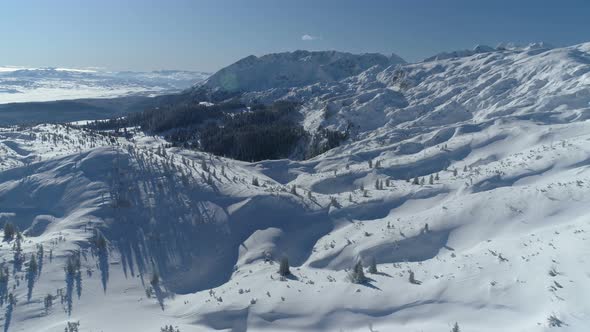 Flight Over the Snowcovered Spruce Forest with Mountains in the Background