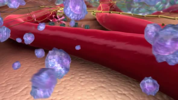 3D Scientific Animation of A Journey Thru The ExtraCellular Matrix