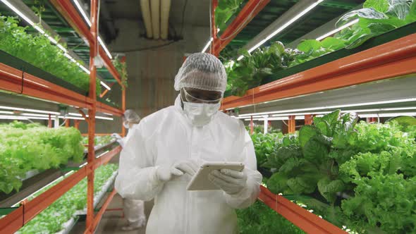 Portrait Of Male Agronomic Engineer At Vertical Farm