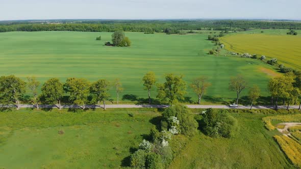 Country road