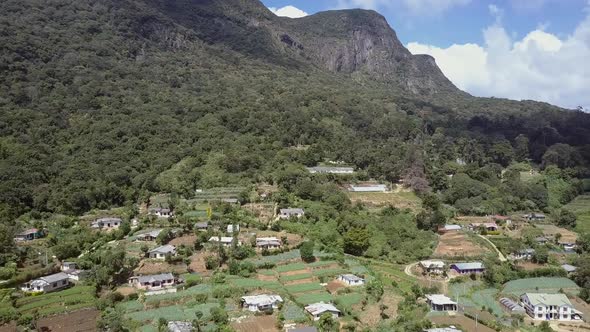 Highland with Green Plantations Small Houses and Serpentine