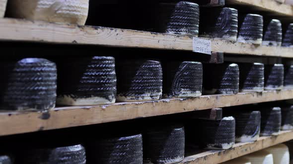 Cellar, storage room, black hard cheese wheels maturing on shelves close up