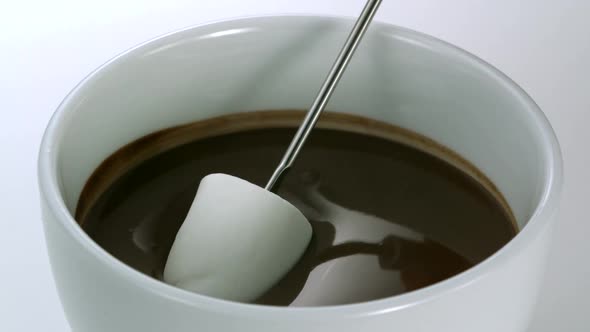 Marshmallow with chocolate, Slow Motion