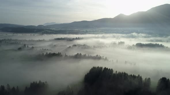 Aerial view of landscape with fog in the morning, Murnauer Moos