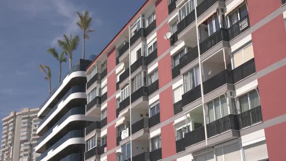 Buildings and palm trees on the roof