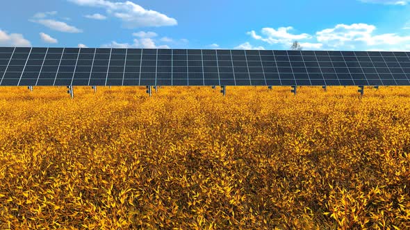 Solar Farm in Meadow