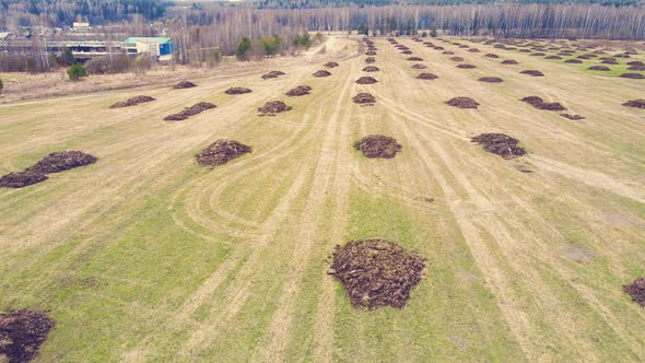 Straight Rows of Heap of Manure on a Farm Field Aerial View